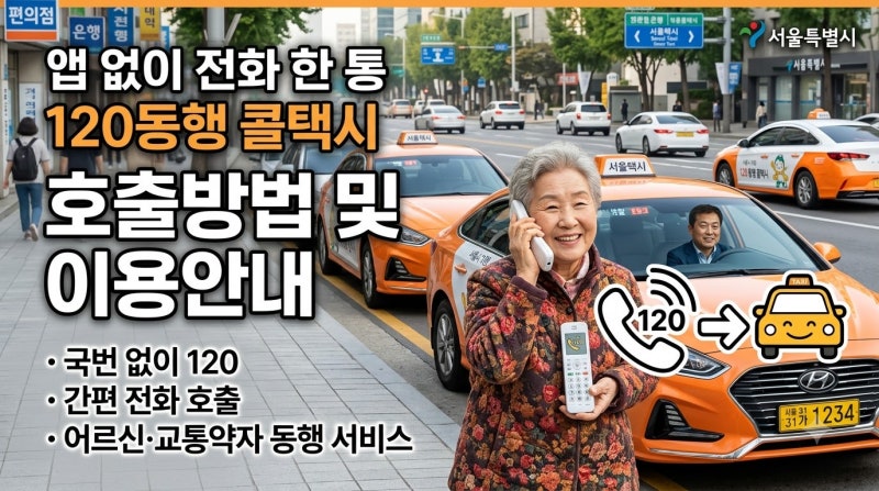 120동행 콜택시 전화 한 통으로 부르는 방법 이용대상 운영시간 정리