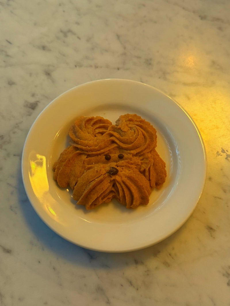 전포동 애견동반 카페 강아지쿠키 강아지가 있는 "뚜시네" Cafe tusine