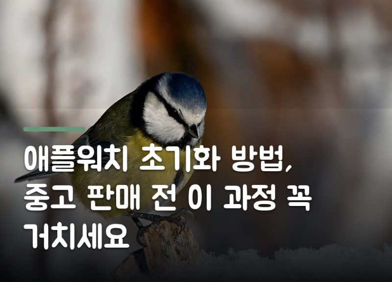 애플워치 초기화 방법, 중고 판매 전 이 과정 꼭 거치세요