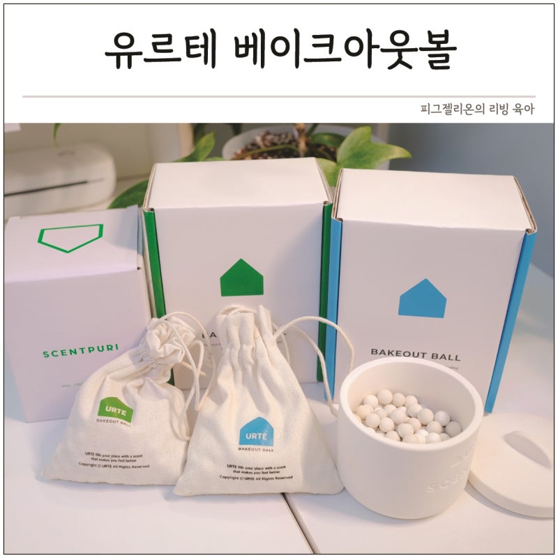 집안 냄새제거 방법 피톤치드 고체 실내방향제 베이크아웃볼 활용 팁