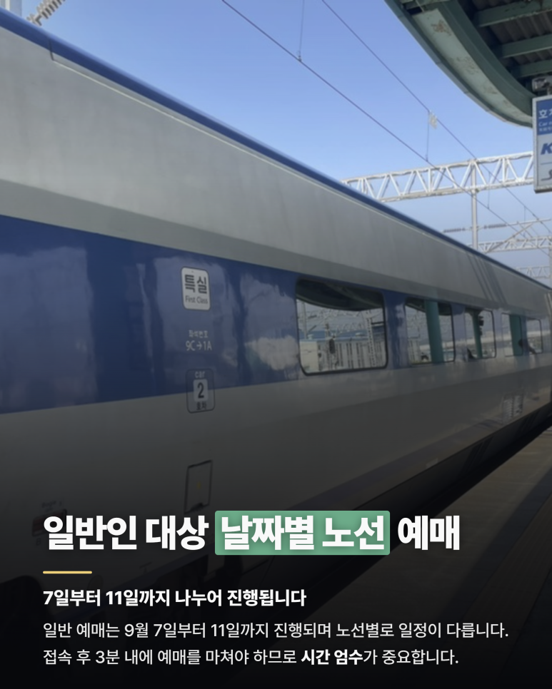 카드뉴스