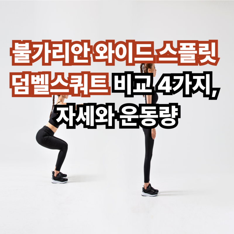 불가리안 와이드 스플릿 덤벨스쿼트 비교 4가지, 자세와 운동량