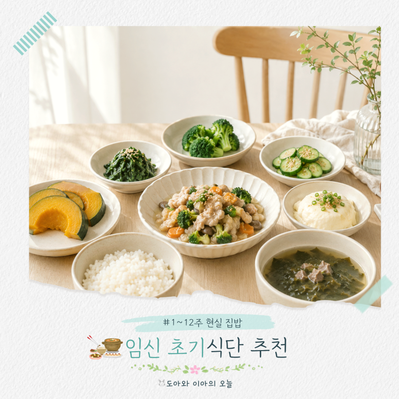 임신 초기 식단 1~12주 임산부 현실 집밥 이렇게 챙겨요