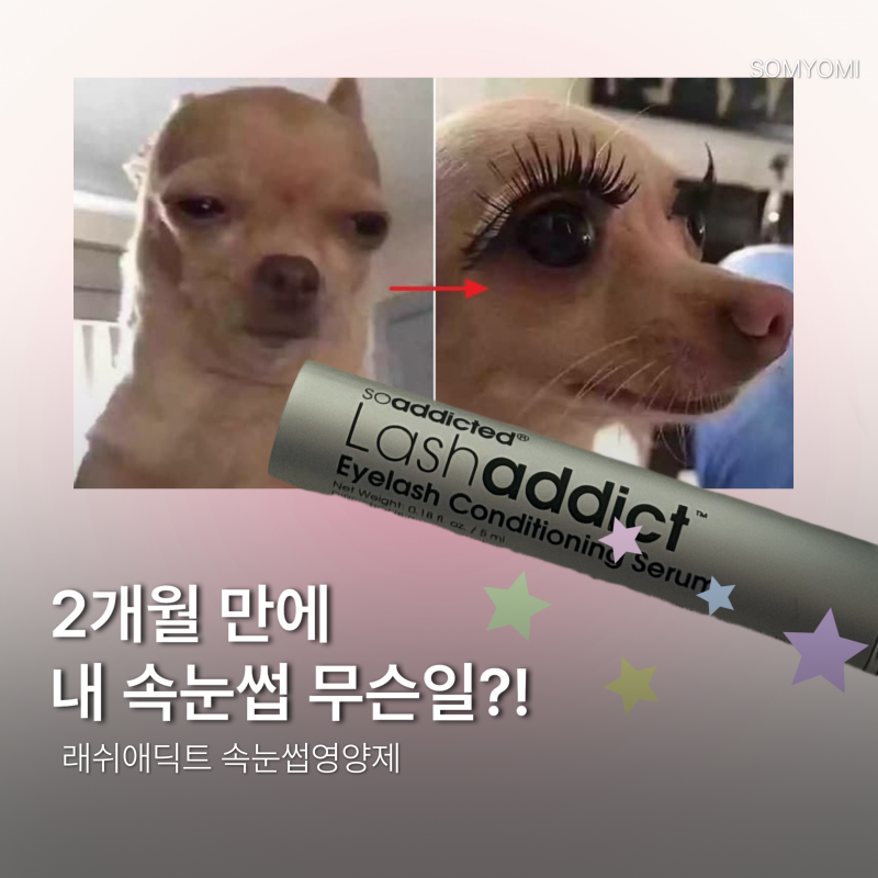속눈썹영양제 추천 래쉬애딕트 내돈내산｜두 달 꾸준히 쓰면 진짜 길어질까?
