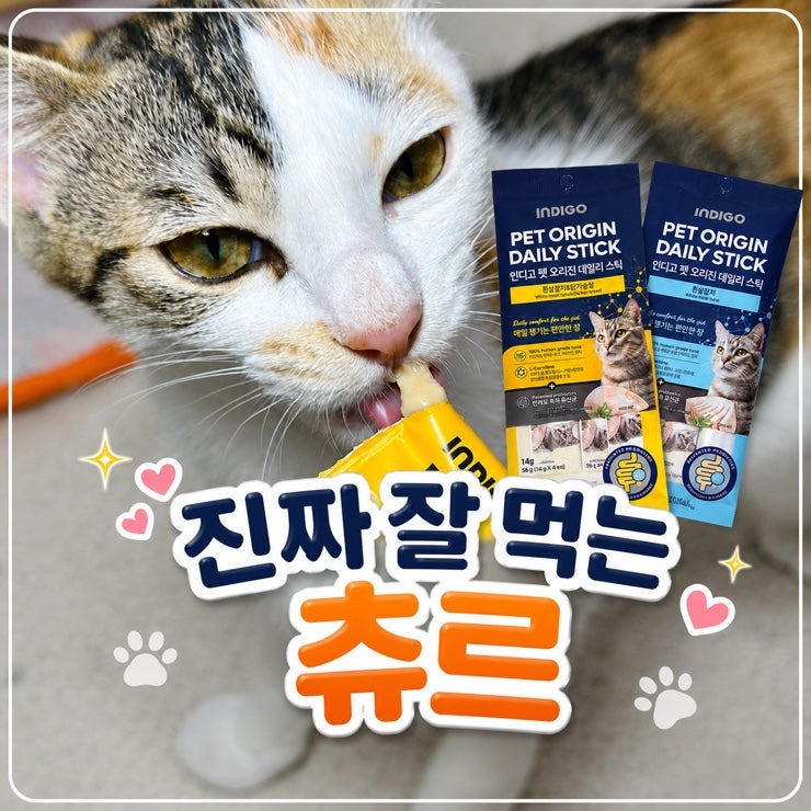 기호성 좋은 짜먹는 아기 고양이 간식 인디고 펫 오리진 데일리 스틱