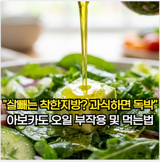 아보카도 오일, "살 빠지는 착한 지방? 과식하면 독박" 아보카도 오일 부작용 및 먹는 법