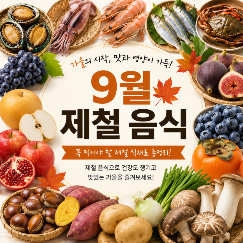 9월 제철 음식 총정리｜가을에 꼭 먹어야 할 제철 식재료 30가지