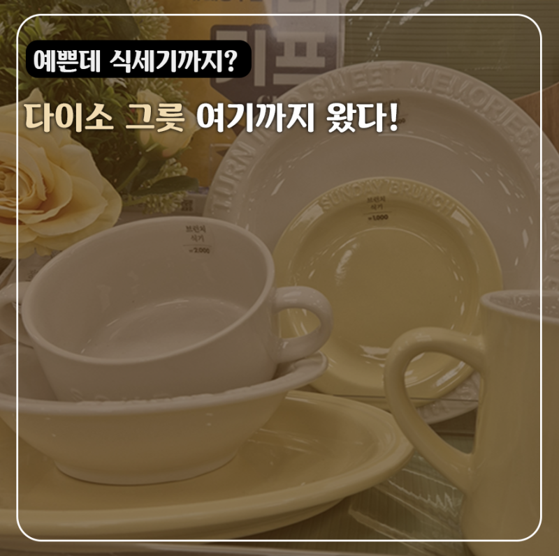 "이게 다이소꺼라고?" 가격 보고 눈 의심한 감성 그릇... 전자레인지,식세기까지 된다니!