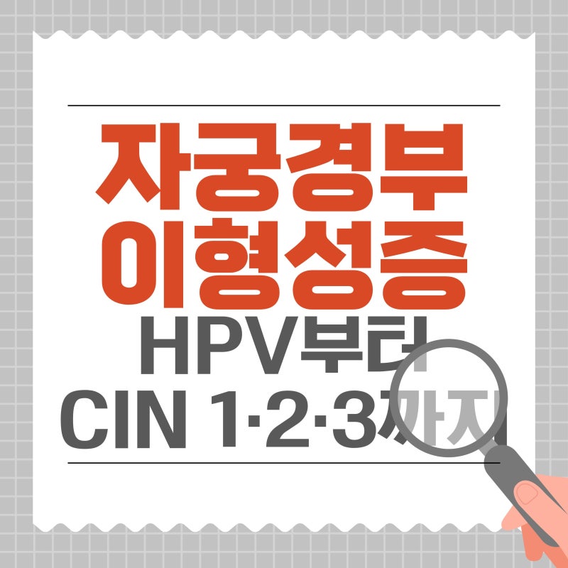 자궁경부이형성증 증상 원인 검사 치료 총 정리