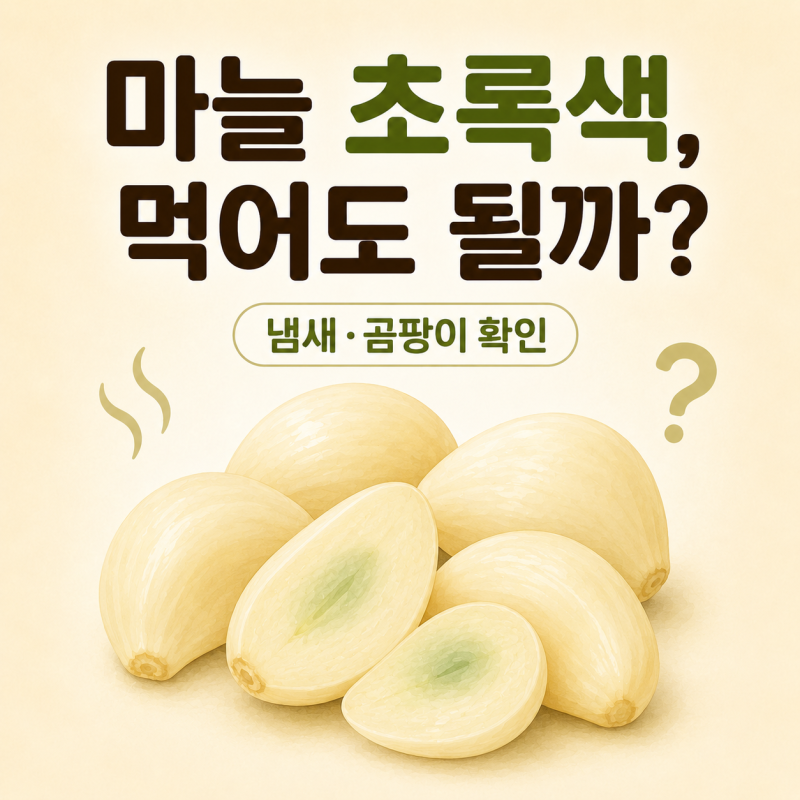 마늘이 초록색으로 변했을 때 먹어도 될까? 냄새와 곰팡이 확인 기준