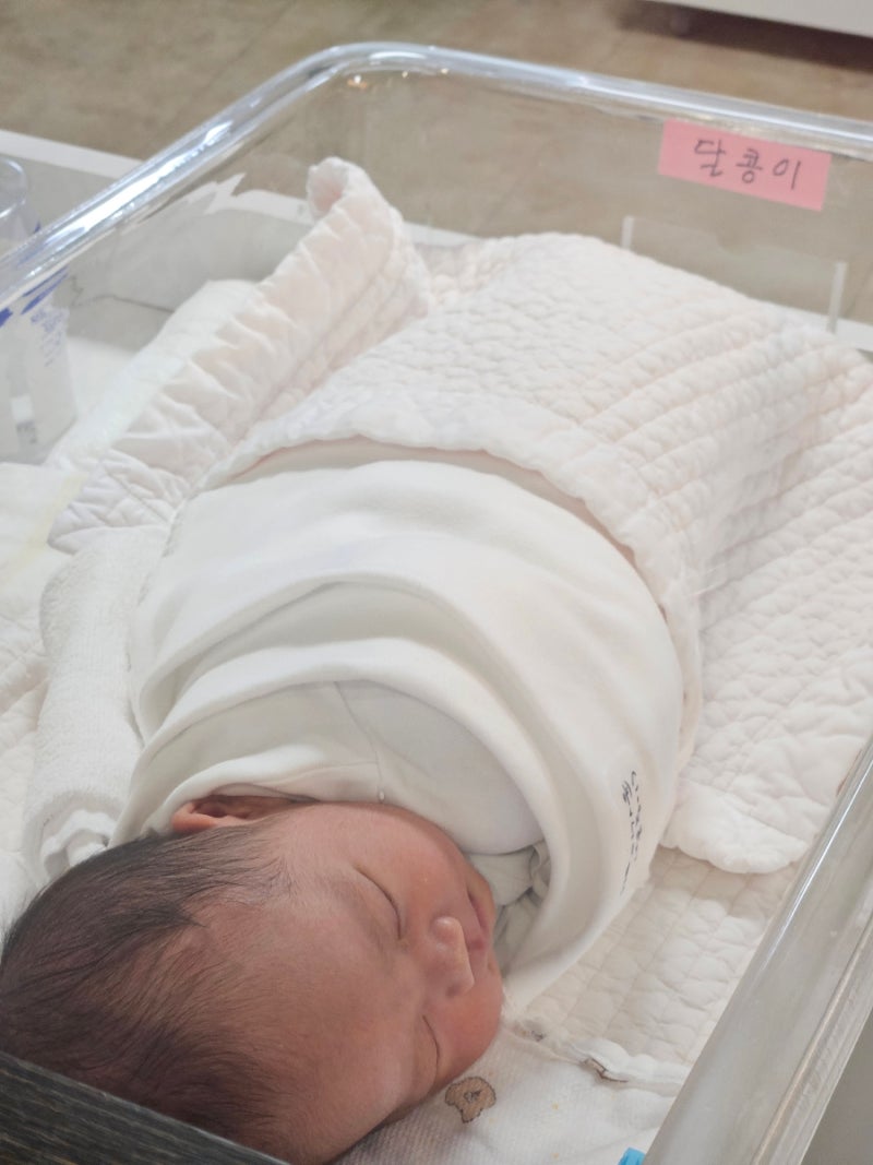 부산 마미캠프산후조리원 대연본점 후기 ①｜선택 이유·예약부터 특실 룸컨디션까지