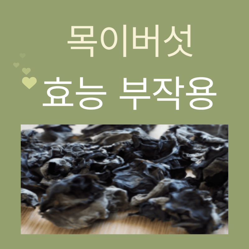 목이버섯 효능 부작용 총정리! 칼로리와 영양성분 알아보기