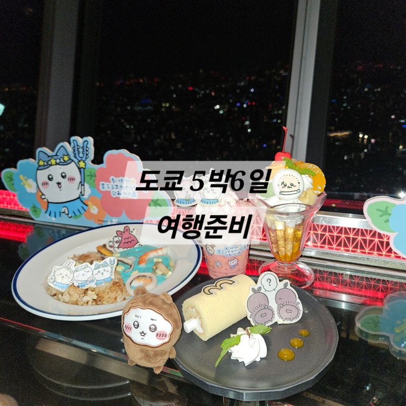 [도쿄 5박6일](0) 여행준비: 항공편, 숙소, 이심Esim, 교통편, 여행자보험, 짐싸기, 예약