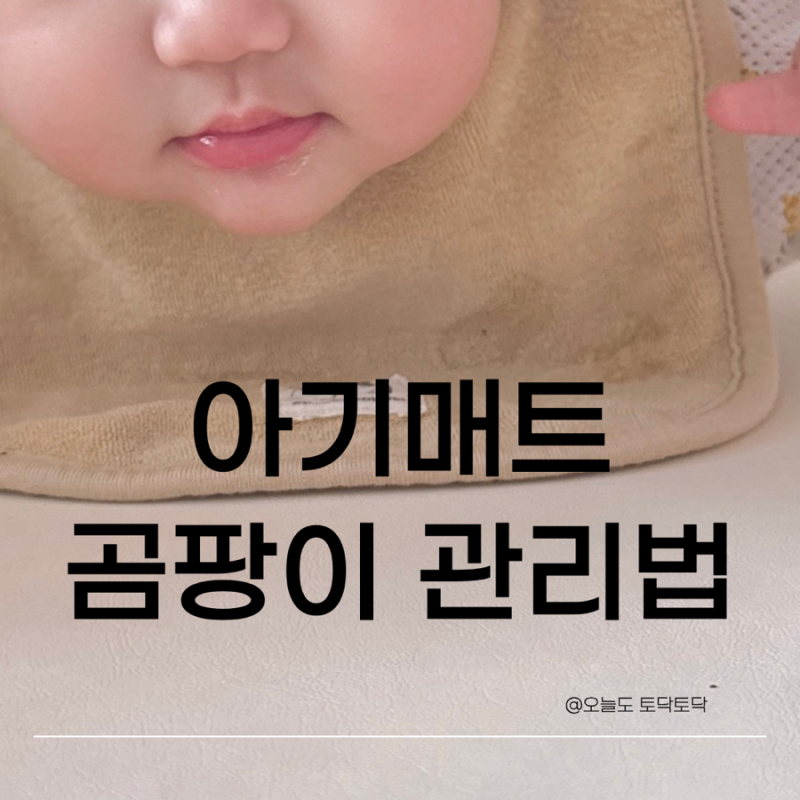 아기매트 곰팡이 예방법 총정리, 장마철에 놓치면 후회해요