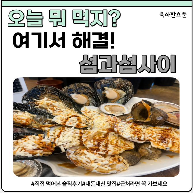 [충남 보령 맛집] 대천 조개구이 맛집 섬과섬사이｜치즈조개구이부터 모둠회, 매운탕까지