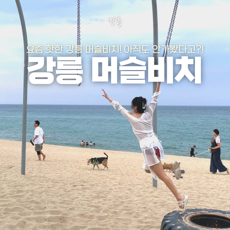 강릉 머슬비치 위치 몽키존 무브먼트링 강문해변 주차 가격