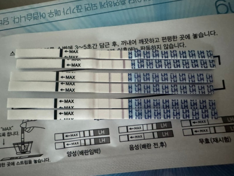 [임신준비] 배란테스트기, 배란초음파