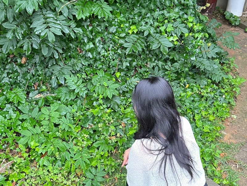목포 1박 2일 뚜벅이 여행이라 하고 먹방 여행이라 쓴다