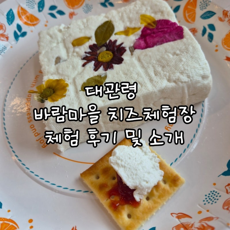 대관령 바람마을 치즈체험장, 치즈 만들기 체험 후기!!!