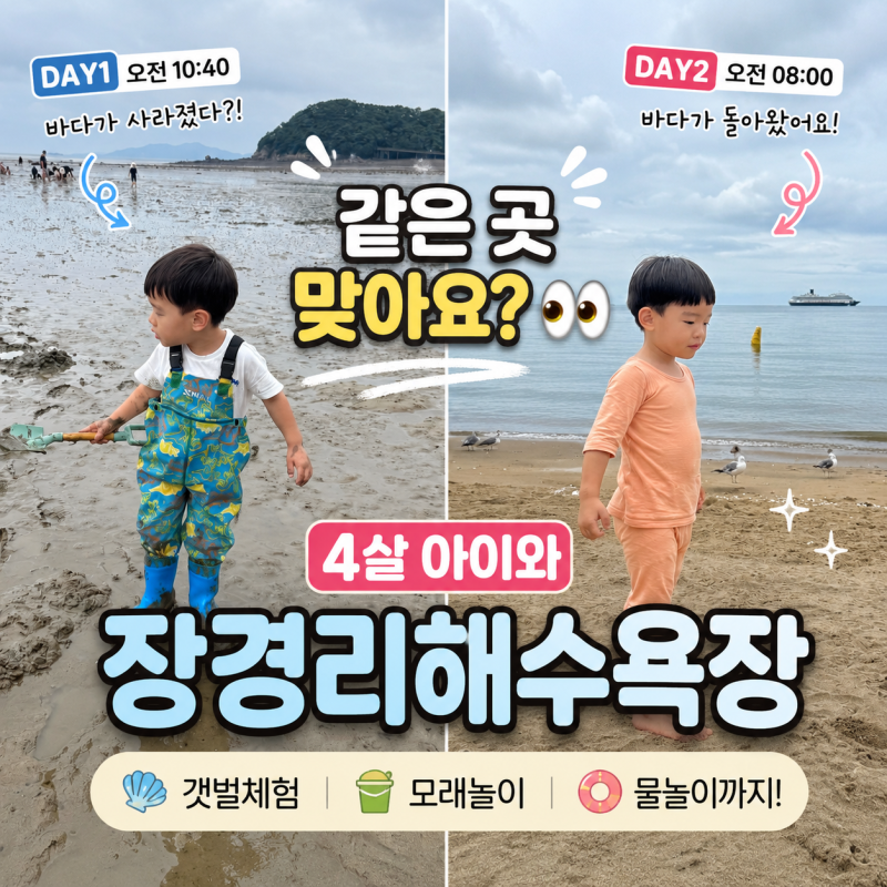 영흥도 장경리해수욕장 아이와 가볼만한곳｜갯벌체험부터 모래놀이까지