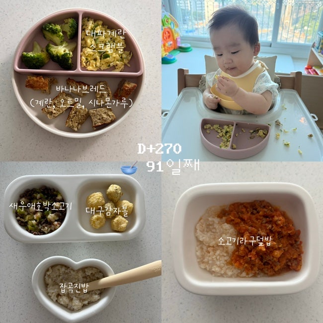 9개월 아기 하루 3끼 후기 이유식 스케줄, 일주일 식단