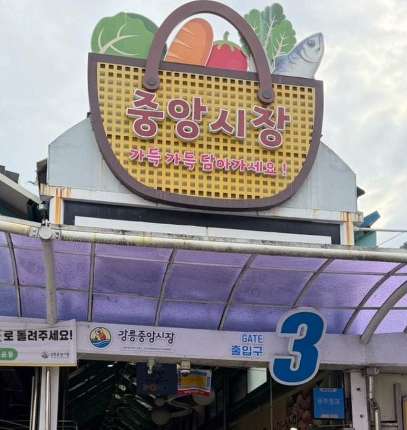 [강릉 여행] 강릉 중앙시장 먹거리 완벽 가이드! (인생물회, 오징어순대, 감자아이스크림)