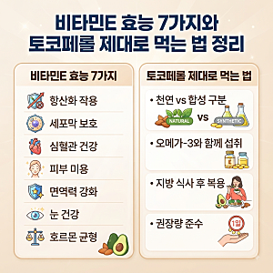 비타민E 효능 7가지와 토코페롤 제대로 먹는 법 정리
