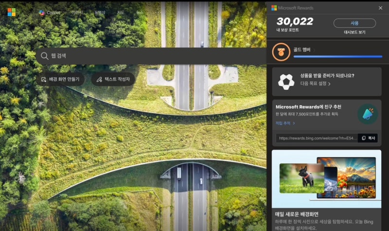 마이크로소프트 Bing 검색 리워드 받기