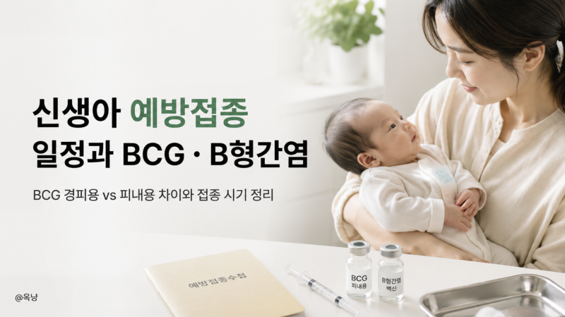 신생아 예방접종 시기 언제? BCG 경피용 피내용 차이와 B형간염 예방접종