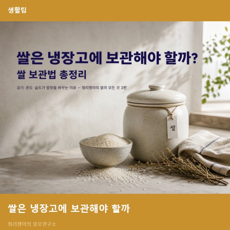 쌀은 냉장고에 보관해야 할까? 쌀 보관법 총정리- 공기·온도·습도가 밥맛을 바꾸는 이유