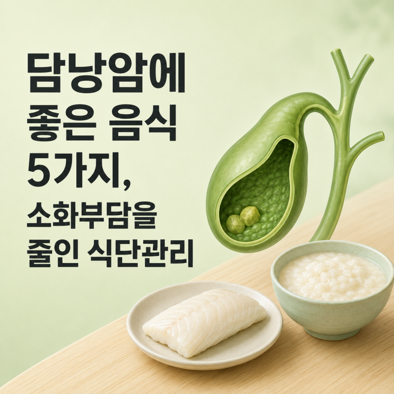 담낭암에 좋은 음식 5가지, 소화부담을 줄인 식단관리