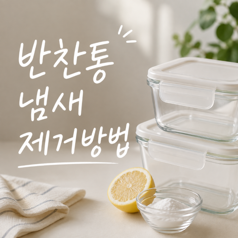 반찬통 냄새 아무리 씻어도 안 빠진다면? 김치 냄새까지 싹 빼는 방법
