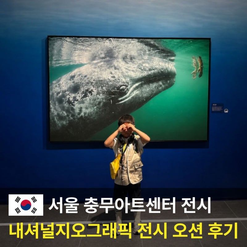 내셔널지오그래픽 전시 오션, 충무아트센터 어린이 도슨트 후기