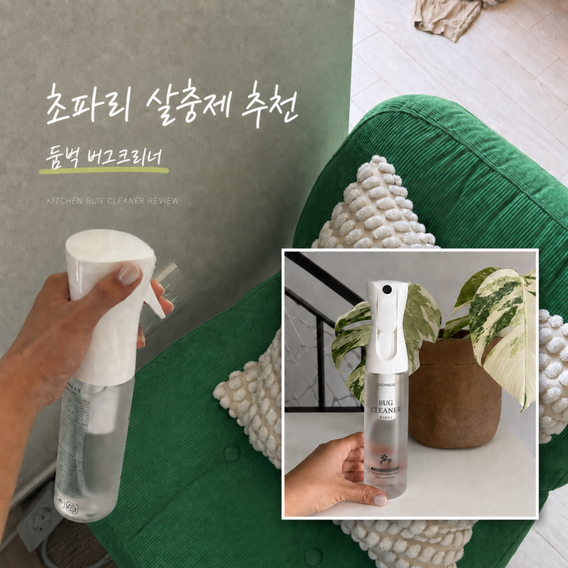 초파리 살충제 추천 둠벅 버그크리너 주방 초파리 퇴치 후기