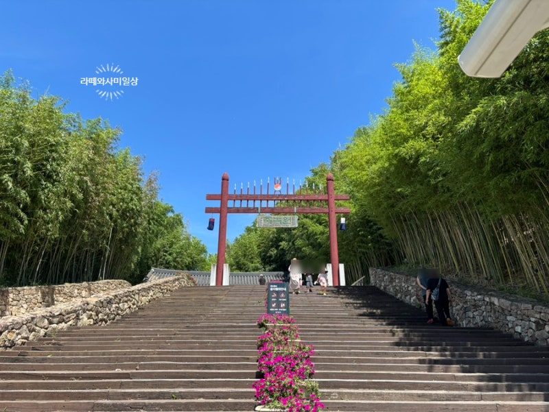 가을 담양 여행 코스 죽녹원, 입장료와 정문 주차 팁