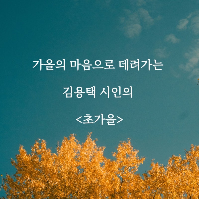 가을의 마음으로 데려가는 김용택 시인의