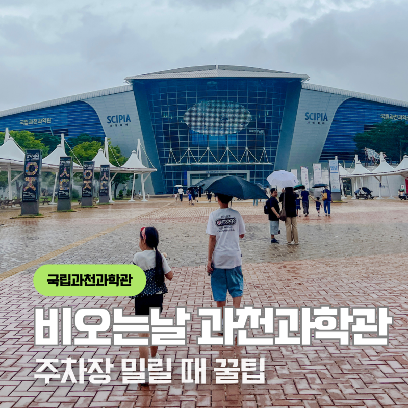국립과천과학관 주차 비오는날 주차장 밀릴 때 방문 꿀팁
