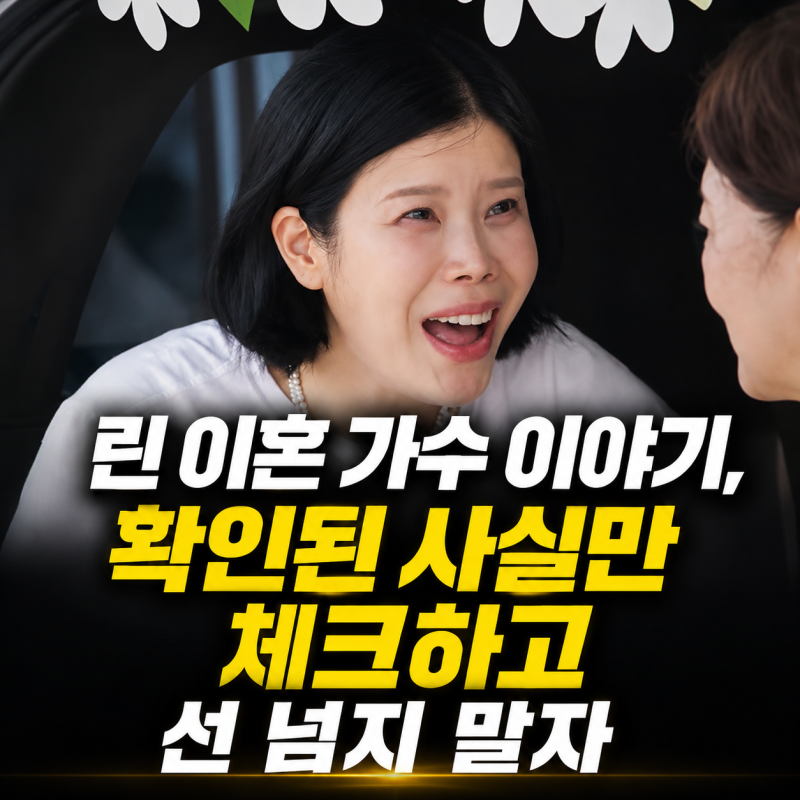 린 이혼 가수 이야기, 확인된 사실만 체크하고 선 넘지 말자