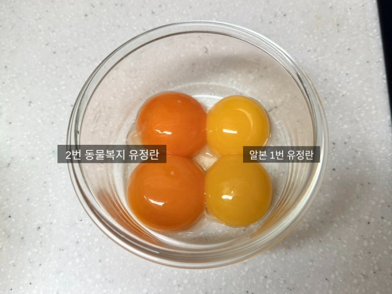 시오콘부 계란장 만드는법 / 둔촌동 맛집 계란 프레시파머스 유정란후기