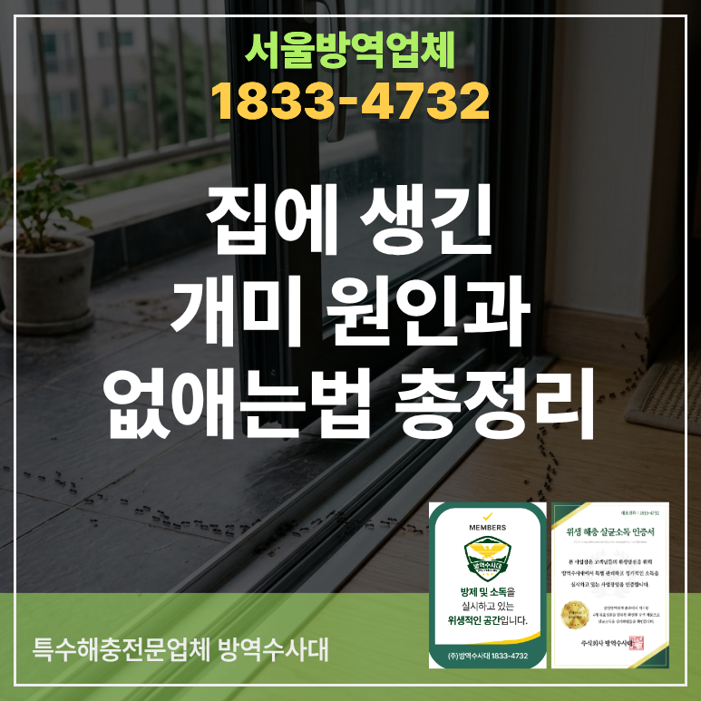집에 생긴 개미 원인과 없애는법 총정리