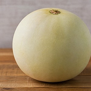 허니듀 멜론 고르는 법과 후숙, 제철에 먹어보니 진짜 꿀맛