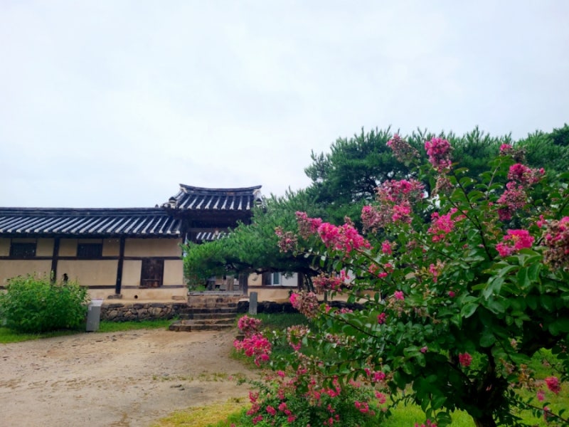 안동 가볼만한 곳 물도 돌아가는 안동 하회마을