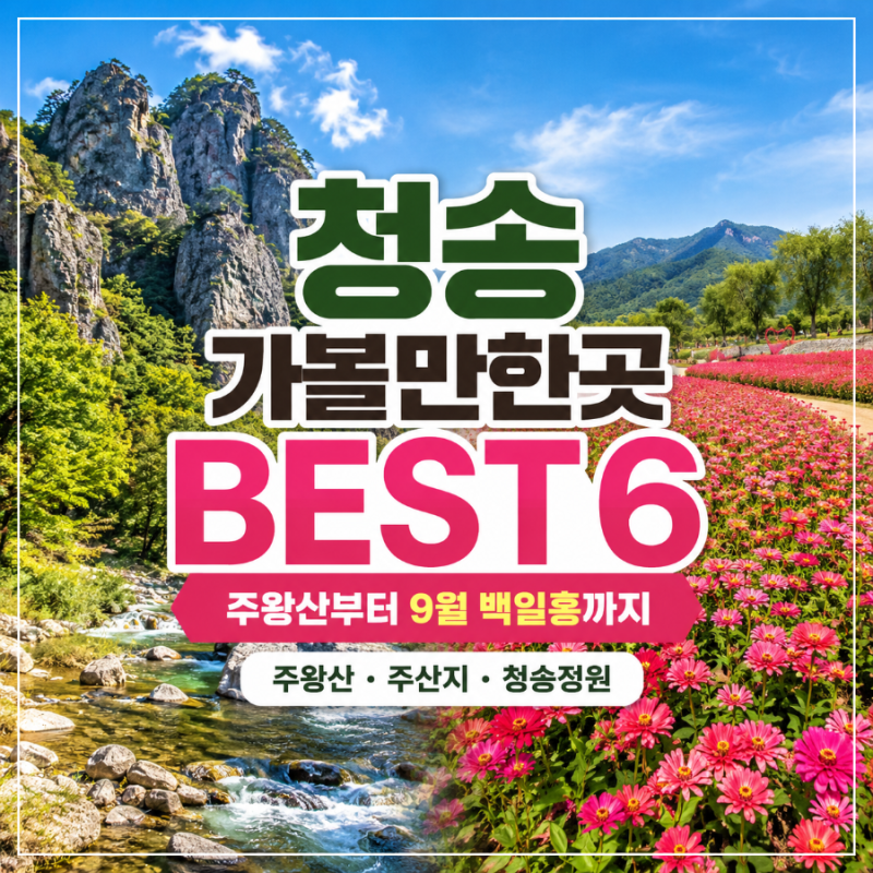 청송 가볼만한곳 BEST 6 주왕산부터 9월 백일홍까지 한눈에