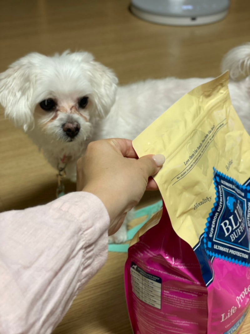 강아지사료추천 소형견사료 기호성좋은사료 블루버팔로 라이프프로텍션포뮬러