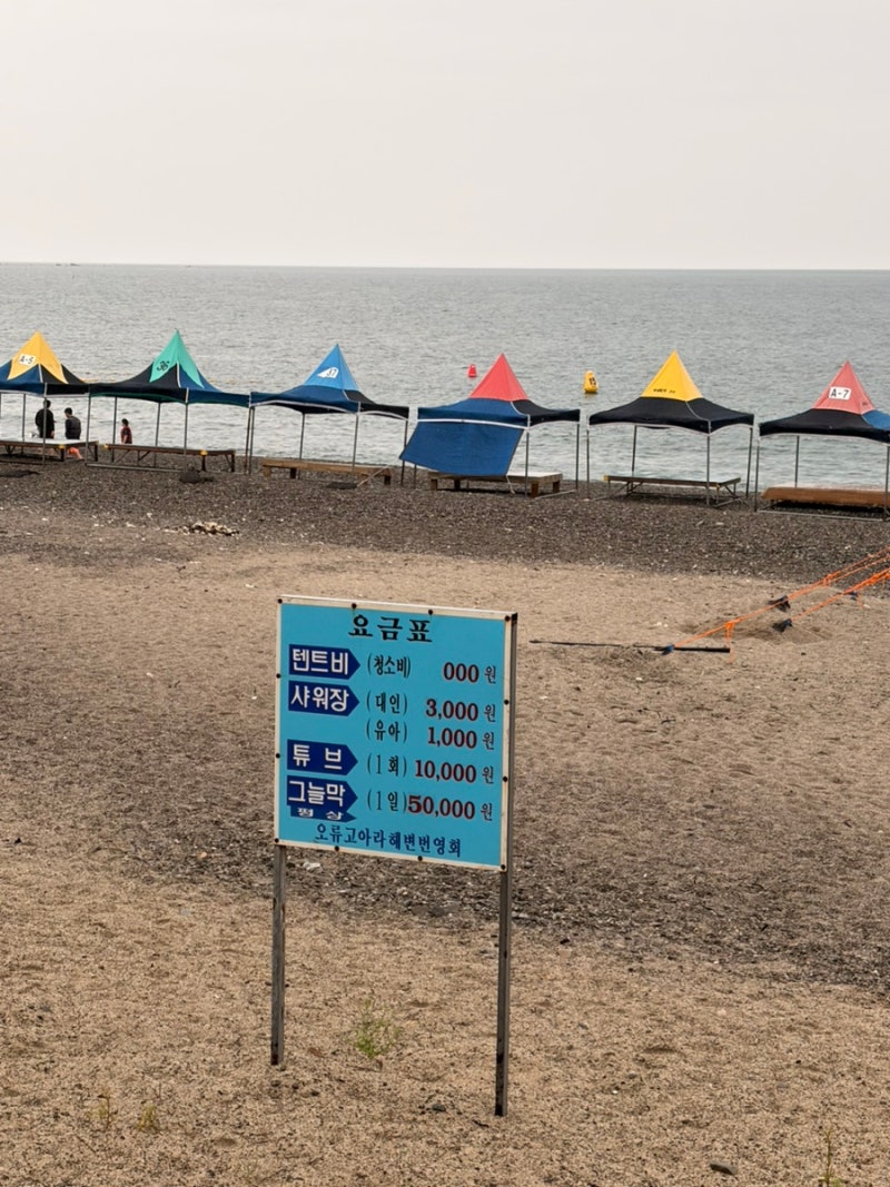 경주 바다 오류고아라해변 총정리｜개장기간·취사·샤워장·화장실·주차