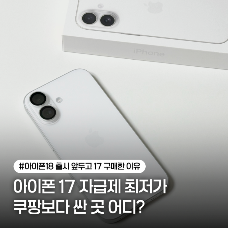 아이폰 17 자급제 256, 어디서 사는게 더 좋을까? 휴대폰 성지 vs 온라인 구매처 가격 비교