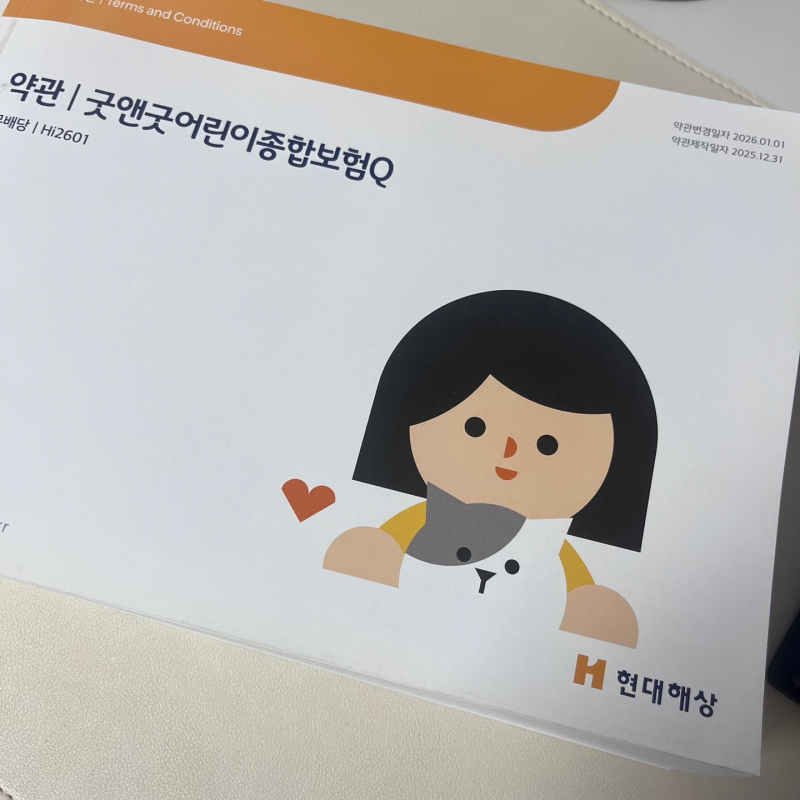 현대해상 태아보험 내돈내산 후기 / 태아보험 가입 시기부터 필수 특약 설명