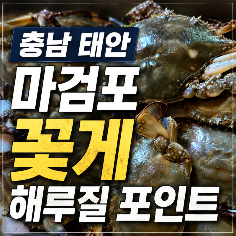 충남 태안 마검포 해수욕장 꽃게 해루질 포인트