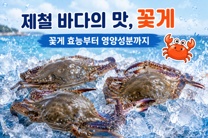 꽃게 효능 및 부작용, 제철 칼로리 영양성분까지 알아보기