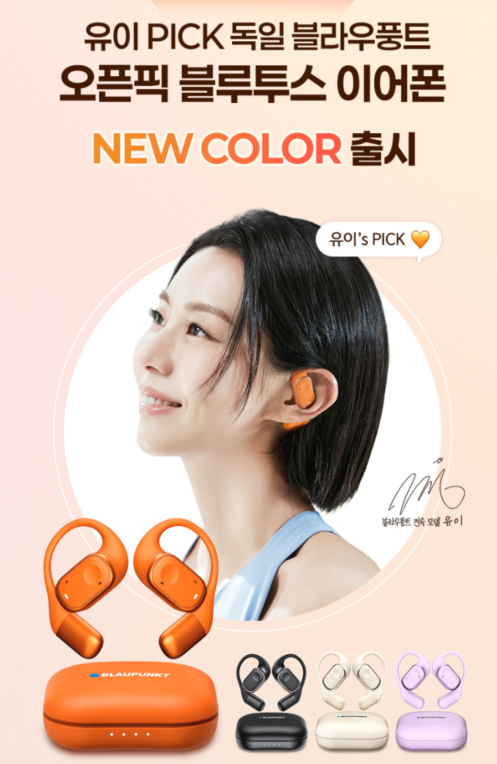 오픈형 이어폰 선물 고민이라면, 블라우풍트 오픈픽 BLP-OE383 후기